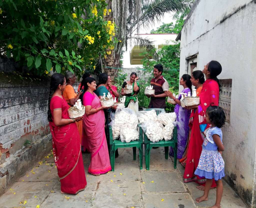 Milky Mushroom Farming by Women
