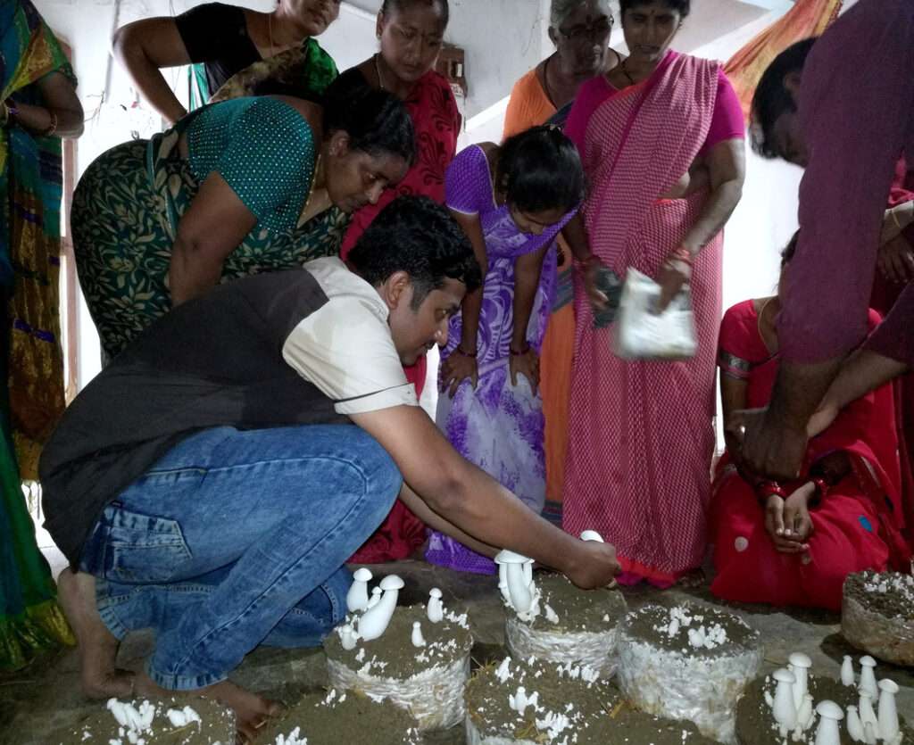 Milky Mushroom Farming by Women
