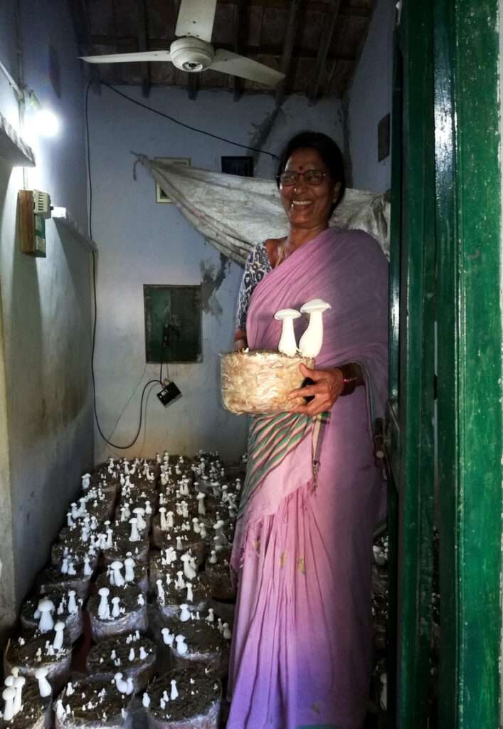 Milky Mushroom Farming by Women