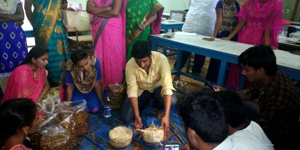 Mushroom Cultivation