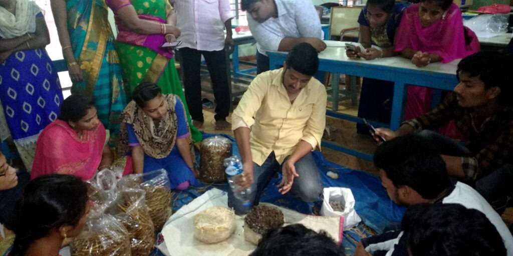 Mushroom Cultivation