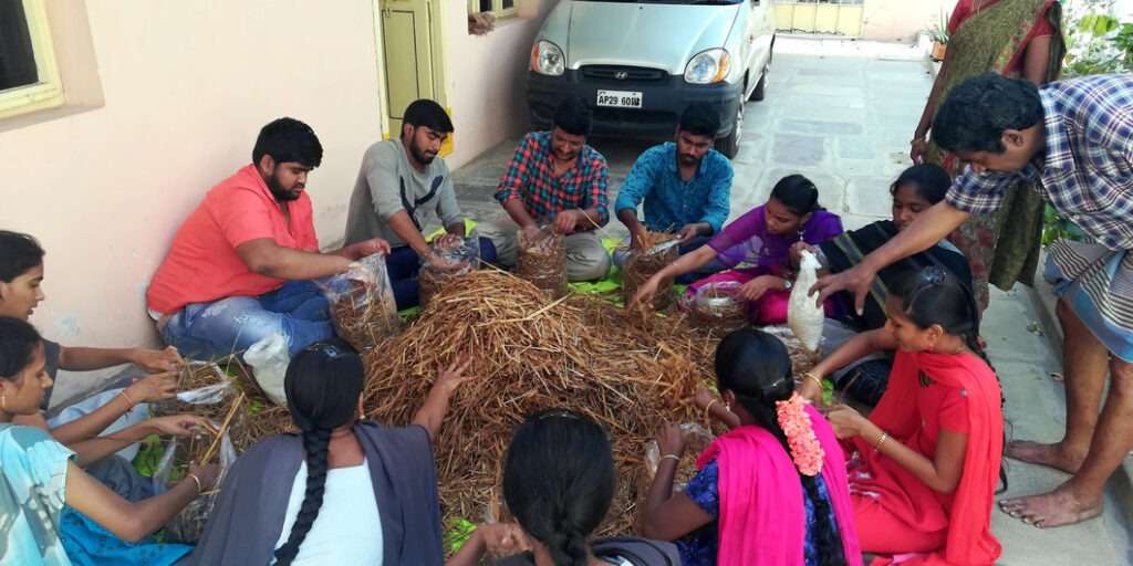 Mushroom Cultivation