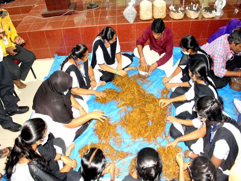 Workshop on Mushroom Farming