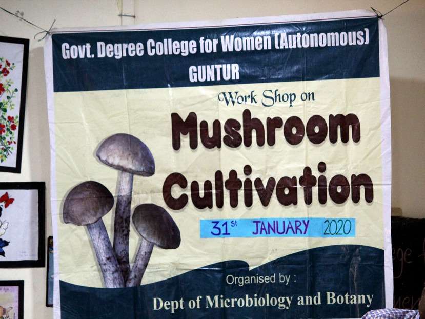 Workshop on Mushroom Farming