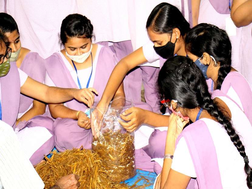 Mushrooom Cultivation by Women's in S.T.Teresa College Eluru