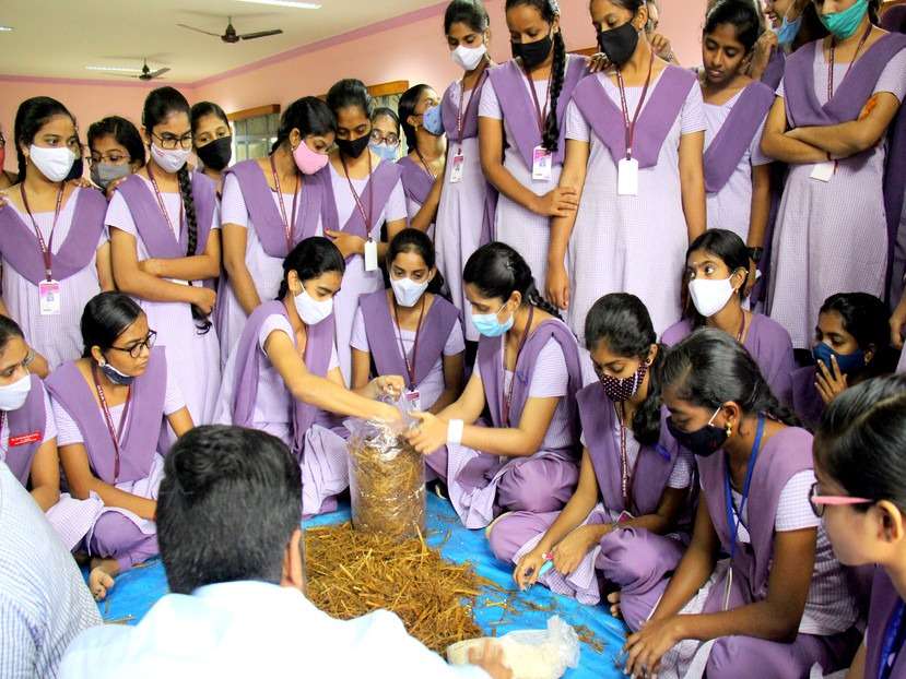 Mushrooom Cultivation by Women's in S.T.Teresa College Eluru