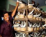 Mushroom low cost racks